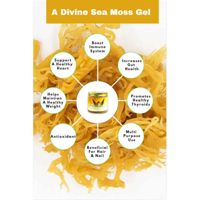 best sea moss Gel a divine h2o